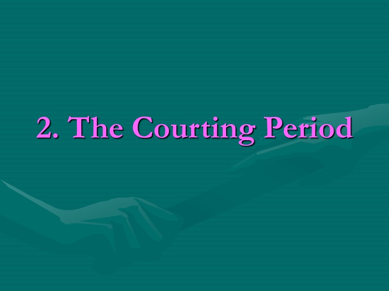 2. The Courting Period 2. The Courting Period